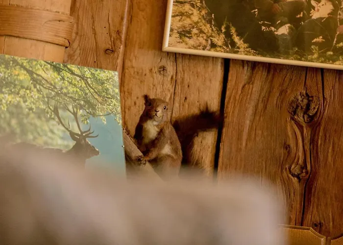 Walliserhof ホテル 3*