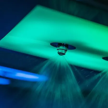 Отель Walliserhof 3*