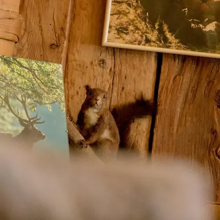 Walliserhof Отель 3*